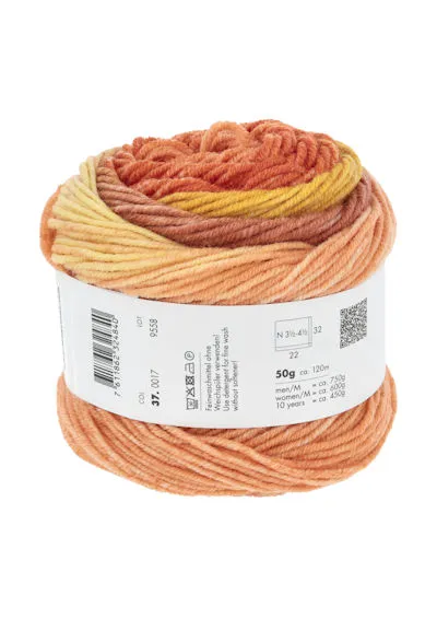 Lang Yarns Merino 120 Degrade 0017