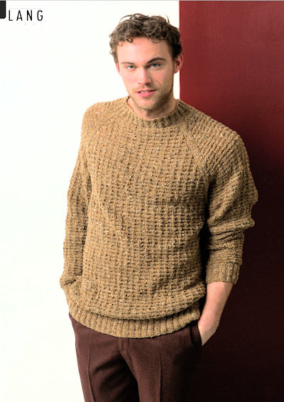 FAM 238 48 Sweater for men