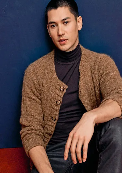 Lang Yarns Punto 89 242 Pullover pour homme